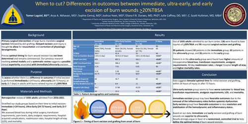 Preview of When To Cut? Differences In Outcomes Between Early And Ultra-early Excision Of Burn Injuries With >=20%TBSA.