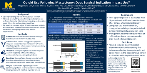 Preview of Opioid Use Following Mastectomy: Does Surgical Indication Impact Use