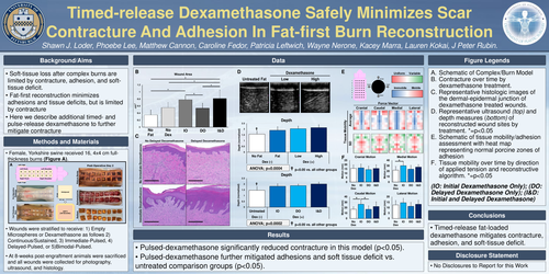 Preview of Timed-release Dexamethasone Safely Minimizes Scar Contracture And Adhesion In Fat-first Burn Reconstruction