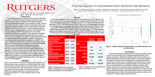 Preview of A Big Data Approach To Understanding Patient Satisfaction With Mastopexy Surgery
