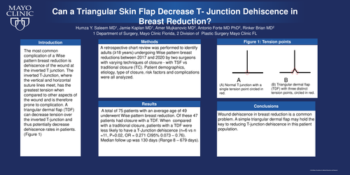 Preview of Can A Triangular Skin Flap Decrease T- Junction Dehiscence In Breast Reduction?