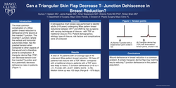 Thumbnail for Can A Triangular Skin Flap Decrease T- Junction Dehiscence In Breast Reduction?