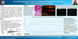 Thumbnail for A Novel Bioengineered Conduit Reduces Neuroma Formation After Targeted Muscle Reinnervation
