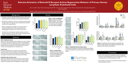 Thumbnail for Selective Activation Of Retinoid-X-Receptor (RXR) Activates Proliferation And Migration Of Primary Human Lymphatic Endothelial Cells