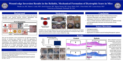 Preview of Wound-edge Inversion Results In The Reliable, Mechanical Formation Of Dystrophic Scars In Mice