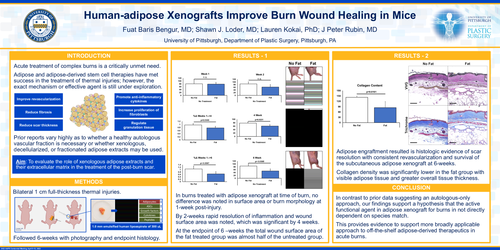 Preview of Human-adipose Xenografts Improve Burn Wound Healing In Mice