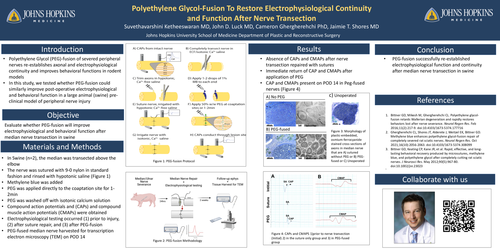 Preview of Peg-fusion To Restore Electrophysiological Continuity And Function After Nerve Transection