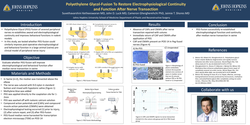 Thumbnail for Peg-fusion To Restore Electrophysiological Continuity And Function After Nerve Transection