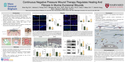 Preview of Continuous Negative Pressure Wound Therapy Regulates Healing And Fibrosis In Murine Excisional Wounds