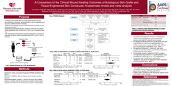 Thumbnail for A Comparison Of The Clinical Wound Healing Outcomes Of Autologous Skin Grafts And Tissue-engineered Skin Constructs: A Systematic Review And Meta-analysis