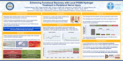Thumbnail for Enhancing Functional Recovery With Local FK506 Hydrogel Treatment In Peripheral Nerve Injury