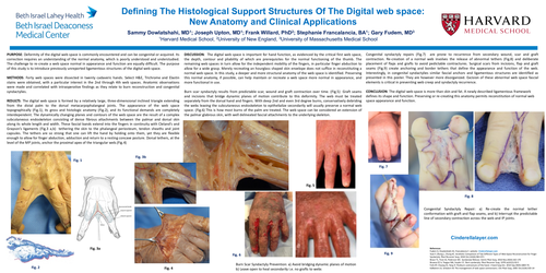 Preview of Defining The Histological Support Structures Of The Digital Webspace: New Anatomy And Clinical Applications.