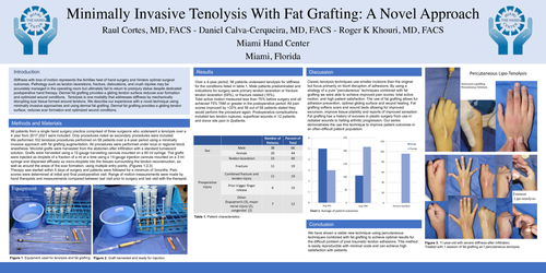 Preview of Minimally Invasive Tenolysis With Fat Grafting: A Novel Approach