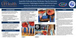 Thumbnail for Superthin Profunda Artery Perforator Flap For Extremity Reconstruction: Radiological Analysis And Clinical Cases