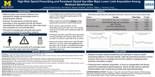Preview of High-risk Opioid Prescribing And Persistent Opioid Use After Major Lower Limb Amputation Among Medicare Beneficiaries
