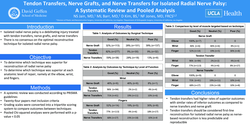 Thumbnail for Management Of Radial Nerve Palsy: Systematic Review And Pooled Analysis