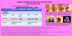 Thumbnail for Outcome Of Treating Pelvic Pain Of Neural Origin; Ten Year Experience With 200 Patients