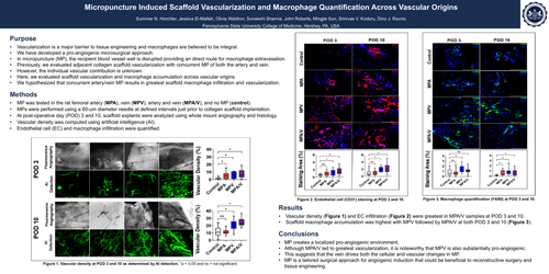 Preview of Micropuncture Induced Scaffold Vascularization And Macrophage Quantification Across Vascular Origins