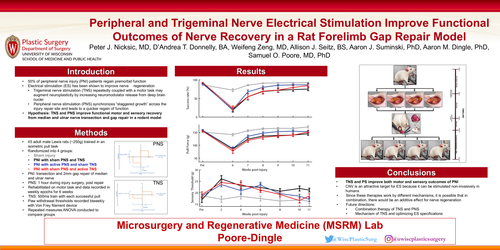Preview of Peripheral And Trigeminal Nerve Stimulation Improve Functional Outcomes Of Nerve Recovery In A Rodent Forelimb Gap Repair Model