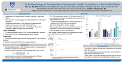 Thumbnail for The Epidemiology Of Postoperative Catastrophic Health Expenditure In The United States