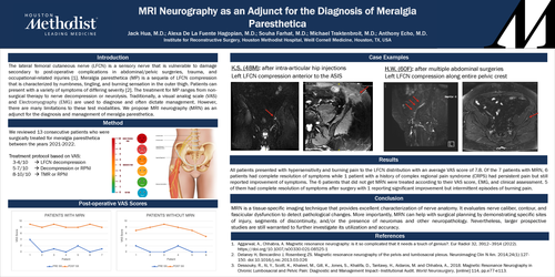 Preview of MRI Neurography As An Adjunct For The Diagnosis Of Meralgia Paresthetica