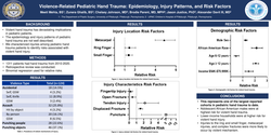 Thumbnail for Violence-Related Pediatric Hand Trauma: Epidemiology, Injury Patterns, And Risk Factors