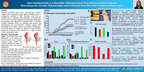 Preview of Agrin Nanoparticles In A Nanofiber Hydrogel-based Drug Delivery System Improve Neuromuscular Junction Reinnervation Following Chronic Denervation