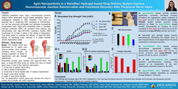Thumbnail for Agrin Nanoparticles In A Nanofiber Hydrogel-based Drug Delivery System Improve Neuromuscular Junction Reinnervation Following Chronic Denervation