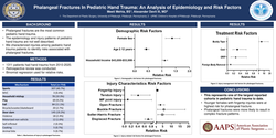 Thumbnail for Phalangeal Fractures In Pediatric Hand Trauma: An Analysis Of Epidemiology And Risk Factors