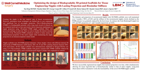 Preview of Optimizing The Design Of Biodegradable 3d-printed Scaffolds For Tissue Engineering Nipples With Lasting Projection And Biosimilar Stiffness