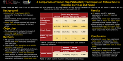 Thumbnail for A Comparison Of Vomer Flap Palatoplasty Techniques On Fistula Repair In Bilateral Cleft Lip And Palate: A Single Center 25-year Experience