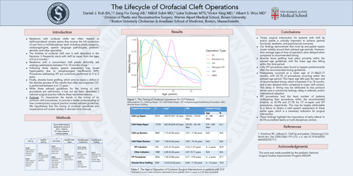 Preview of The Lifecycle Of Orofacial Cleft Operations