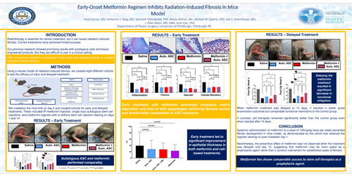 Preview of Early-onset Metformin Regimen Inhibits Radiation-induced Fibrosis In Mice Model