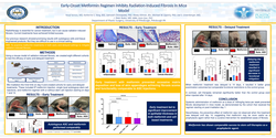 Thumbnail for Early-onset Metformin Regimen Inhibits Radiation-induced Fibrosis In Mice Model