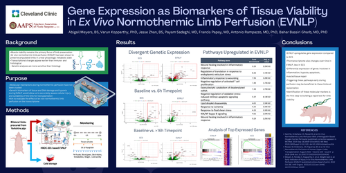 Preview of Gene Expression As Biomarkers Of Tissue Viability In Ex Vivo Normothermic Limb Perfusion (evnlp)