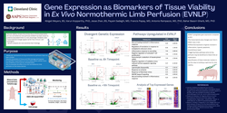 Thumbnail for Gene Expression As Biomarkers Of Tissue Viability In Ex Vivo Normothermic Limb Perfusion (evnlp)