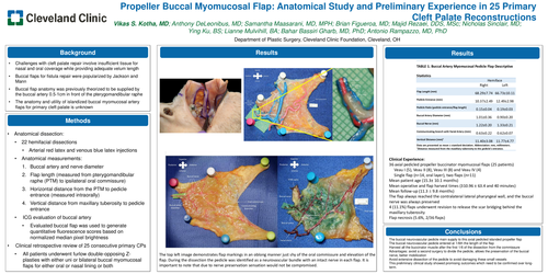 Preview of Propeller Buccal Myomucosal Flap: Anatomical Study And Preliminary Experience In 25 Primary Cleft Palate Reconstructions