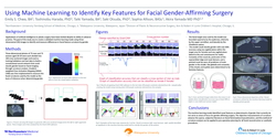 Thumbnail for Using Machine Learning To Identify Key Features For Facial Gender-Affirming Surgery
