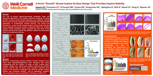Preview of A Novel “Smooth” Breast Implant Surface Design That Provides Implant Stability