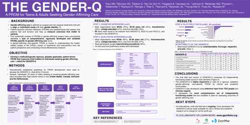 Preview of The Gender-Q: A Rigorous, Modular, Patient-reported Outcome Measure For Gender-affirming Care