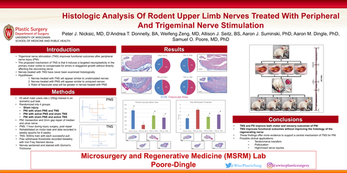 Preview of Histologic Analysis Of Rodent Upper Limb Nerves Treated With Peripheral And Trigeminal Nerve Stimulation