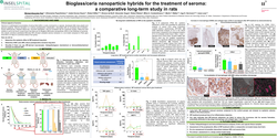 Thumbnail for Mixed Metal Oxide Nanoparticles For Seroma Treatment: A Comparative Long-term Study In Rats