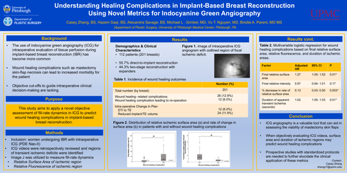 Preview of Understanding Healing Complications In Implant-Based Breast Reconstruction Using Novel Metrics In Indocyanine Green Angiography