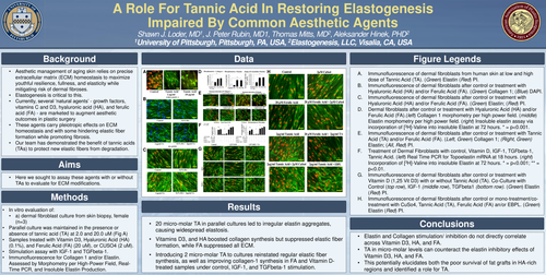 Preview of A Role For Tannic Acid In Restoring Elastogenesis Impaired By Common Aesthetic Agents