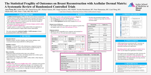 Preview of The Statistical Fragility Of Outcomes On Breast Reconstruction With Acellular Dermal Matrix: A Systematic Review Of Randomized Controlled Trials