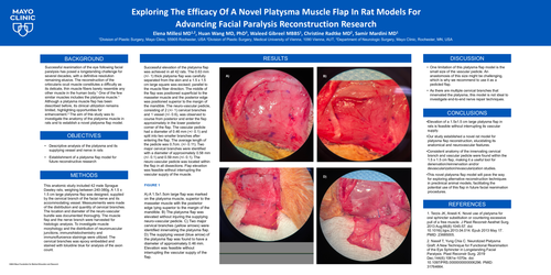 Preview of Exploring The Efficacy Of A Novel Platysma Muscle Flap In Rat Models For Advancing Facial Paralysis Reconstruction Research