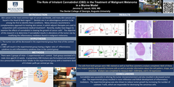 Thumbnail for The Role of Inhalant Cannabidiol (CBD) in the Treatment of Malignant Melanoma in a Murine Model