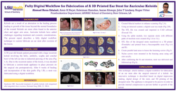 Thumbnail for Fully digital workflow for fabrication of a 3D-printed ear stent for Auricular Keloid: