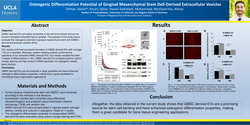 Thumbnail for Osteogenic differentiation potential of gingival mesenchymal stem cell-derived extracellular vesicles 