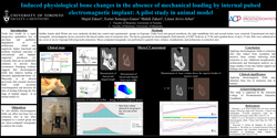 Thumbnail for Induced physiological bone changes in the absence of mechanical loading by internal pulsed electromagnetic implant, a pilot study in animal model